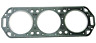 18-3864 Sierra Head Gasket New 030999753724