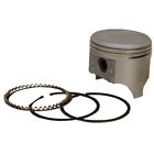 18-4169 Sierra Marine Seastar Solutions Boat Engine Piston Assembly 030999976192