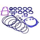 18-8384 Sierra Seal Kit 808282200800