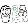 Ym67c-w0001-20 18-99093 Sierra Gasket Set 808282294083