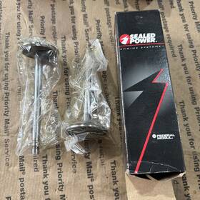 Sealed Power Federal Mogul V2143 V-2143 2 Qty Engine Intake Valves