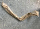 Nos Oem Evinrude Johnson Omc Brp Oil Line Ay Pn 0979841 ATTIC16A. Fixed Price $67.95.