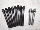 E3A 5031291 5031658 Cylinder Head Bolts Omc Evinrude 50HP - Set Of 10. Fixed Price $29.95.