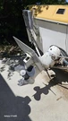 Completely Rebuilt 1974 Omc Stern Drive With 2 Props. Fixed Price $1600.00.