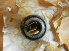Mercury Mercruiser Roller Bearing 31-49398A2. Fixed Price $18.95.