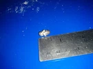 0313607 V4 Johnson Evinrude 90HP. Fixed Price $5.00.