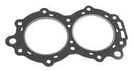 Sierra 18-2957 Head Gasket Omc 307069. Fixed Price $50.02.
