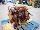 Perkins 4.108 Diesel Engine Good Runner! Video! 4-108 ED90017. Fixed Price $3795.00.