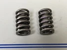 *new* (lot Of 2) 0670 Mercury Springs 24-48347. Fixed Price $18.39.